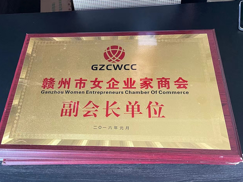 女企業(yè)家副會長單位